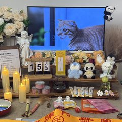 宠物家长客户见证