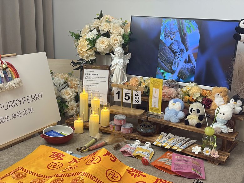 宠物纪念相册与追思布置