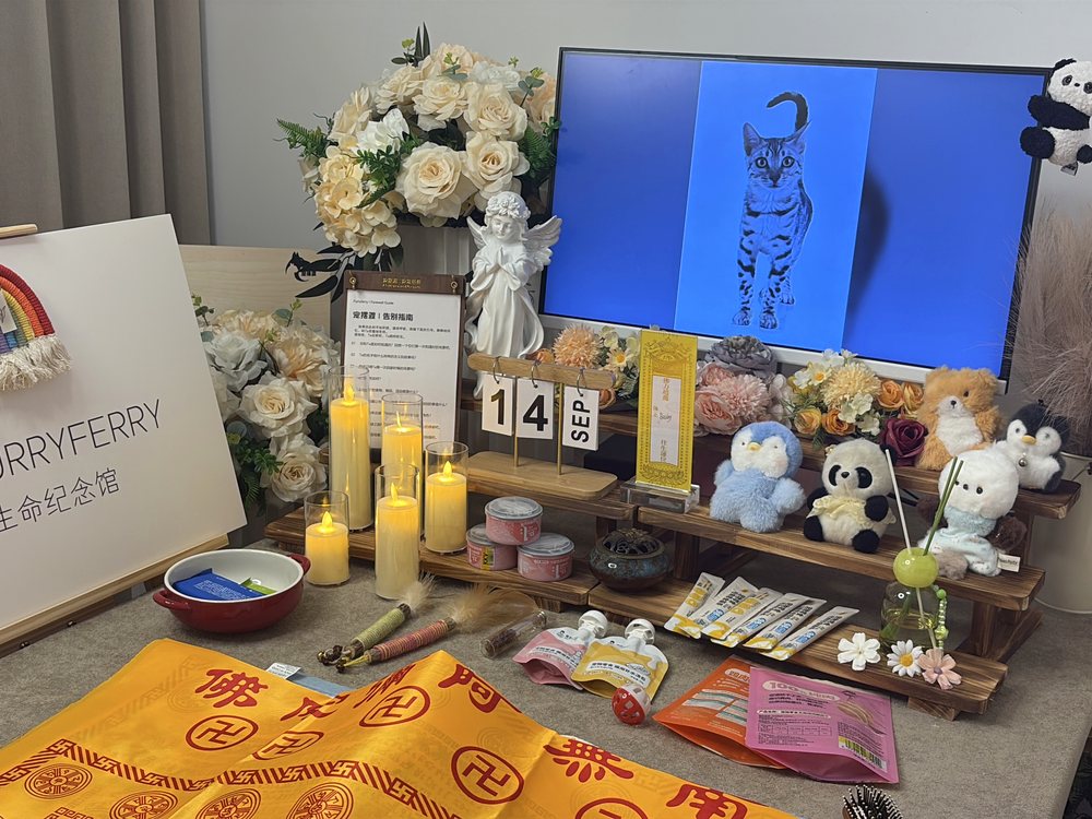 宠物告别仪式现场布置